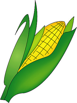 EPS 클립아트 음식 일러스트 식재료 곡류 옥수수 사람없음 농작물 강냉이 국내일러스트 농업 과자 파일형식 벡터