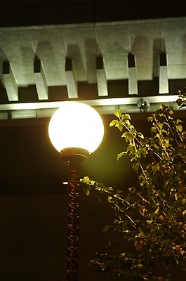 포토 JPG 나무 백그라운드 야경 가로등 불 나뭇잎 사람없음 야외 발코니 도시 원형 옥상 외등 국내포토 자연요소 도형 식물 공공시설 잎 야간 파일형식 풍경_경치