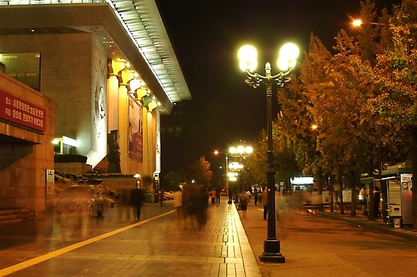 포토 JPG 백그라운드 야경 가로등 자연 거리 서울 사람없음 야외 도시 가로수 세종문화회관 외등 국내포토 공공시설 한국 야간 공연장 생태계 파일형식 풍경_경치