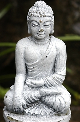 포토 JPG 주간 기념일 불교 종교용품 근접촬영 사람없음 야외 하이앵글 부처님오신날 돌_바위 불상 불교용품 부처 돌부처 불타 국내포토 자연요소 종교 뷰포인트 이벤트 파일형식