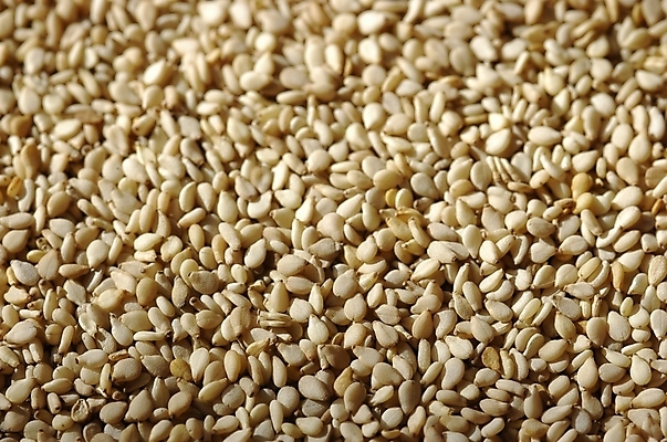 포토 JPG 스튜디오촬영 음식 백그라운드 식재료 곡류 실내 씨앗 근접촬영 사람없음 농작물 하이앵글 깨 들깨 참깨 국내포토 식물 뷰포인트 농업 내부 조미료 파일형식