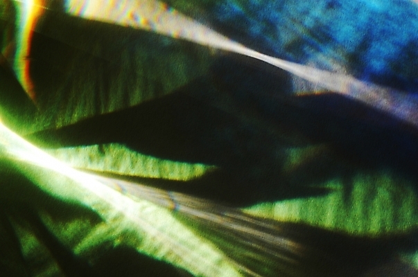 포토 JPG 백그라운드 사람없음 초록색 빛 광 국내포토 컬러 파일형식