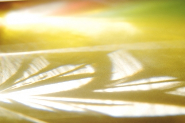 포토 JPG 백그라운드 사람없음 빛 번개 신비 광 국내포토 컨셉 날씨 파일형식