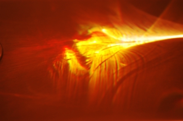 포토 JPG 백그라운드 사람없음 빛 번개 신비 광 국내포토 컨셉 날씨 파일형식