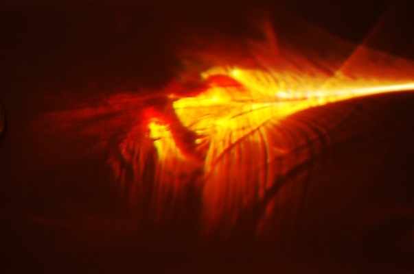 포토 JPG 백그라운드 사람없음 빛 번개 신비 광 국내포토 컨셉 날씨 파일형식