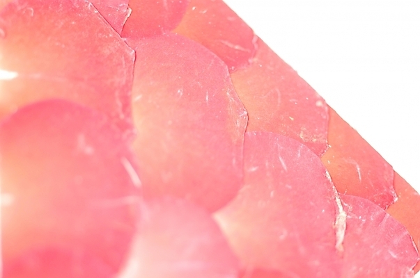 포토 JPG 나무 식물 꽃잎 꽃 줄기 분홍색 백그라운드 잎 자연 벽지 사람없음 흰색 한지 비늘 국내포토 종이 컬러 생태계 파일형식