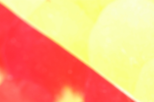 포토 JPG 나무 줄기 백그라운드 자연 벽지 사람없음 빨간색 노란색 흰색 경계선 한지 국내포토 식물 종이 선 컬러 경계 생태계 파일형식