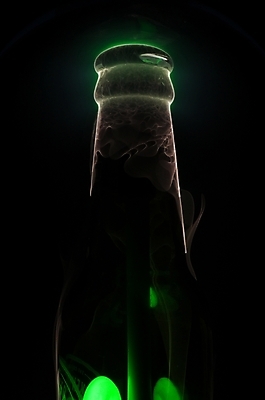 포토 JPG 백그라운드 술병 사람없음 컴퓨터그래픽 그래픽 인테리어 병 신비 맥주병 야광 국내포토 식기 디자인 컨셉 병_용기 맥주 주류 빛 파일형식