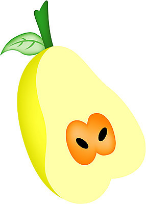 EPS 클립아트 식물 과일 일러스트 단면 씨앗 농작물 노란색 배 자르기 반 국내일러스트 컬러 농업 모션 파일형식 벡터