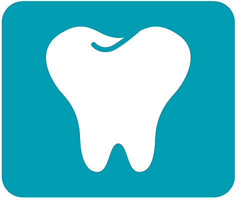 EPS 클립아트 일러스트 의학 치과 병원 사람없음 치료 치아 장기 근골격기관 국내일러스트 신체 소화기관 장기_의학 파일형식 벡터