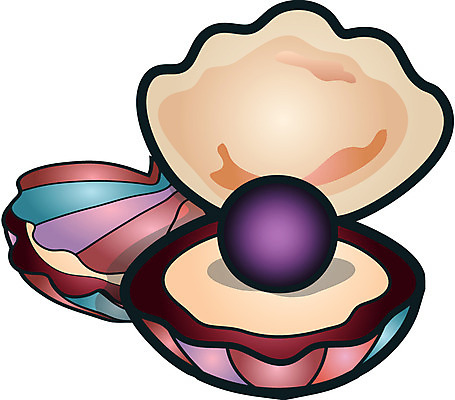 EPS 바다 일러스트 조개 연체동물 사람없음 보석 진주 진주조개 국내일러스트 어패류 무척추동물 광석 파일형식 벡터