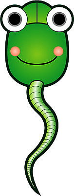 EPS 클립아트 모양 일러스트 개구리 사람없음 컴퓨터용품 입력장치 마우스 국내일러스트 양서류 오브젝트 파일형식 벡터