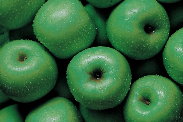 포토 JPG 식물 웰빙 백그라운드 과일 사람없음 농작물 사과 풋사과 사과데이 애플데이 국내포토 농업 데이이벤트 파일형식