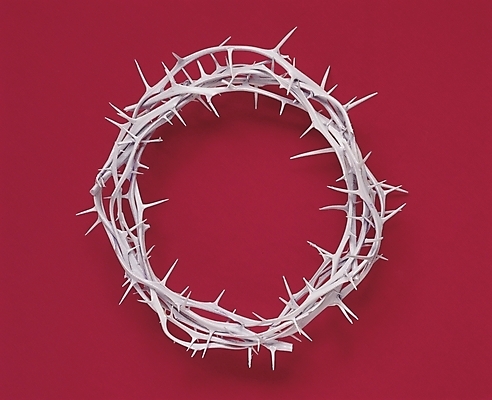 포토 JPG 기독교 종교 종교용품 기독교용품 사람없음 가시 가시면류관 국내포토 파일형식