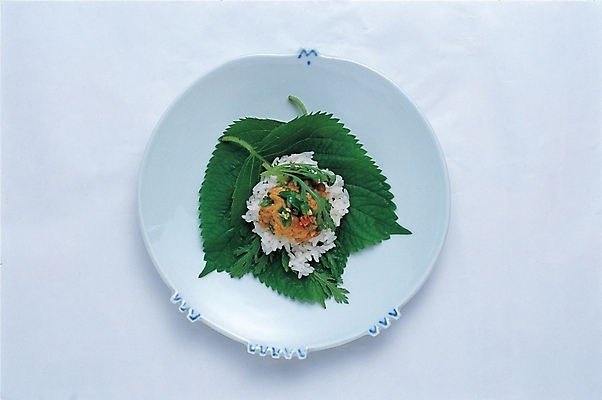 포토 JPG 한국문화 한국전통 그릇 접시 한식 음식 밥 요리 사람없음 덮밥 깻잎 쌈밥 국내포토 동양문화 전통 식기 채소 한국 파일형식