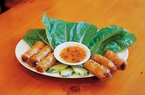 포토 JPG 그릇 접시 음식 채소 요리 사람없음 중식 튀김 양념 상추 만두 딤섬 소고기말이튀김 국내포토 식기 파일형식