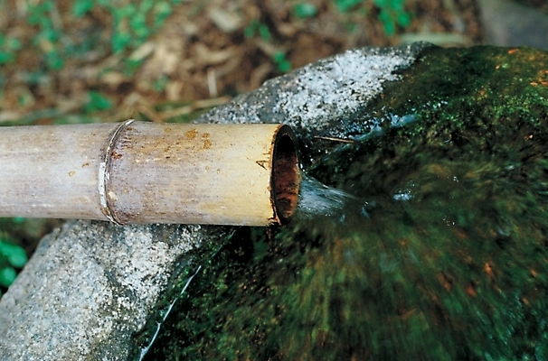 포토 JPG 주간 시설물 건축 산 사람없음 야외 물 샘물 대나무 약수터 국내포토 자연요소 나무 건축물 파일형식