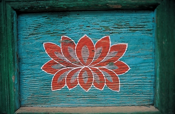 포토 JPG 식물 한국전통 꽃 문화 백그라운드 불교 여름꽃 자연 연꽃 사람없음 벽화 연꽃무늬 국내포토 전통 종교 무늬 한국 그림 생태계 파일형식 여름_계절