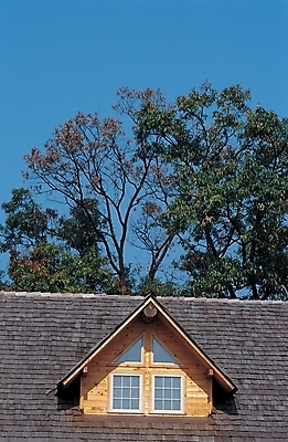 포토 JPG 주간 나무 식물 시설물 건축물 현대건축 건축 창문 하늘 지붕 주택 풍경 사람없음 야외 건물 건축부분 다락 다락방 국내포토 자연요소 파일형식