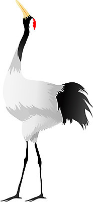 EPS 동물 척추동물 한마리 야생동물 일러스트 조류 사람없음 학 십장생 천연기념물 국내일러스트 멸종위기종 1 파일형식 벡터