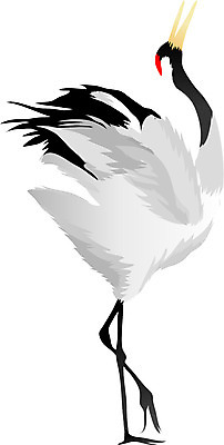 EPS 동물 척추동물 한마리 야생동물 일러스트 조류 사람없음 학 십장생 천연기념물 국내일러스트 멸종위기종 1 파일형식 벡터