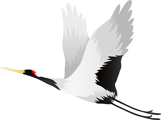 EPS 동물 척추동물 한마리 야생동물 날개 일러스트 조류 사람없음 학 날갯짓 십장생 천연기념물 국내일러스트 멸종위기종 1 파일형식 벡터