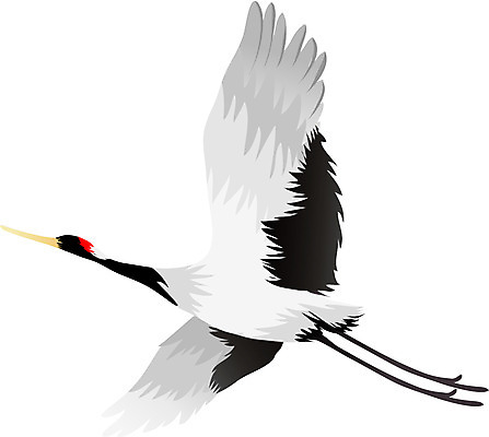 EPS 동물 척추동물 한마리 야생동물 날개 일러스트 조류 사람없음 학 날갯짓 십장생 천연기념물 국내일러스트 멸종위기종 1 파일형식 벡터