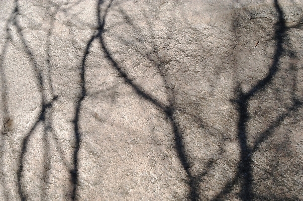 포토 JPG 주간 나무 사계절 계절 실루엣 백그라운드 겨울 자연 바위산 산 그림자 풍경 사람없음 야외 절벽 돌_바위 바위 북한산 국내포토 자연요소 식물 촬영기법 돌산 생태계 파일형식 고양