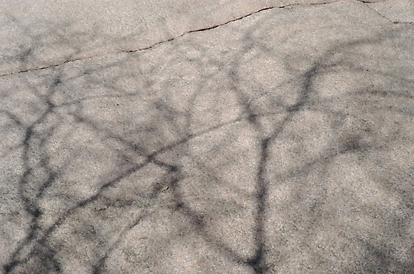 포토 JPG 주간 나무 사계절 계절 실루엣 백그라운드 겨울 자연 바위산 산 그림자 풍경 사람없음 야외 절벽 돌_바위 바위 북한산 국내포토 자연요소 식물 촬영기법 돌산 생태계 파일형식 고양