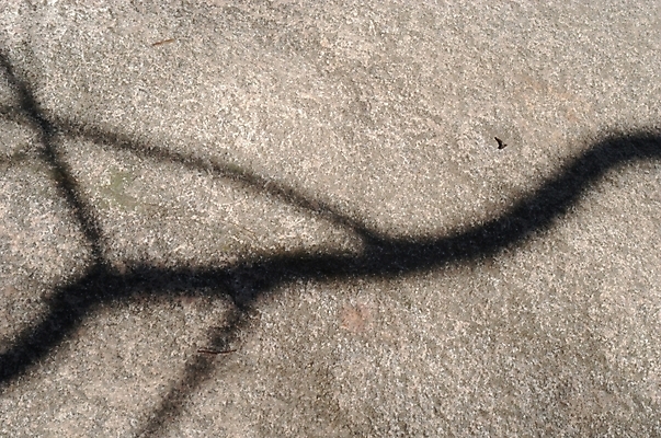 포토 JPG 주간 나무 사계절 계절 실루엣 백그라운드 겨울 자연 산 그림자 풍경 사람없음 야외 절벽 돌_바위 바위 북한산 국내포토 자연요소 식물 촬영기법 생태계 파일형식 고양