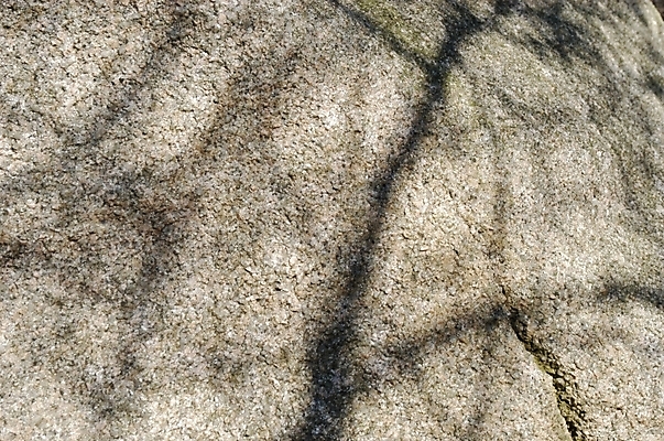 포토 JPG 주간 나무 사계절 계절 실루엣 백그라운드 겨울 자연 바위산 산 그림자 풍경 사람없음 야외 절벽 돌_바위 바위 북한산 국내포토 자연요소 식물 촬영기법 돌산 생태계 파일형식 고양