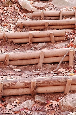 포토 JPG 주간 사계절 계절 길 백그라운드 낙엽 잎 겨울 자연 나뭇잎 산 풍경 사람없음 야외 계단 가을 산길 북한산 입동 국내포토 자연요소 식물 절기 생태계 파일형식 고양