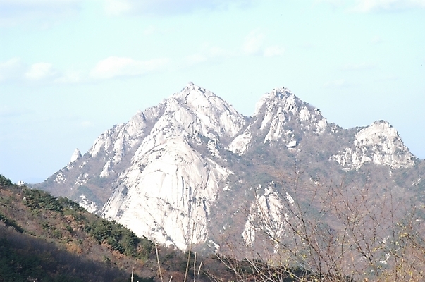 포토 JPG 주간 나무 식물 사계절 계절 백그라운드 겨울 자연 바위산 산 풍경 사람없음 야외 절벽 돌_바위 바위 북한산 국내포토 자연요소 돌산 생태계 파일형식 고양