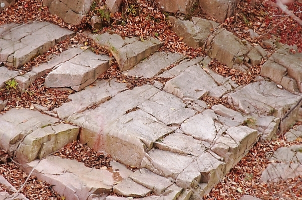 포토 JPG 주간 사계절 계절 백그라운드 낙엽 잎 자연 나뭇잎 산 풍경 사람없음 야외 절벽 가을 돌_바위 바위 북한산 국내포토 자연요소 식물 생태계 파일형식 고양