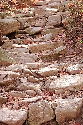 포토 JPG 주간 사계절 계절 길 백그라운드 낙엽 잎 겨울 자연 나뭇잎 산 풍경 사람없음 야외 계단 가을 돌_바위 관찰 산길 북한산 국내포토 자연요소 식물 모션 생태계 파일형식 고양