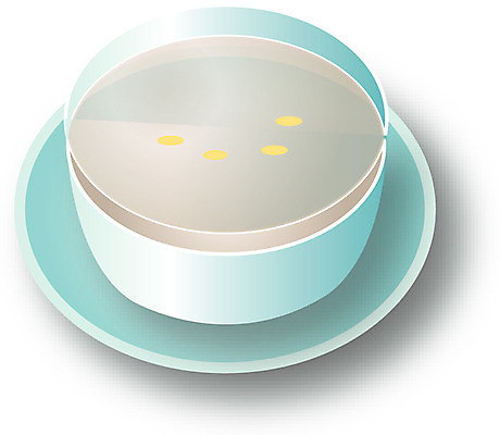 EPS 한국문화 한국전통 전통 명절 음료 한식 음식 일러스트 새해 사람없음 설날 전통음식 전통차 식혜 잣죽 국내일러스트 동양문화 기념일 한국 차_음료 죽 파일형식 벡터