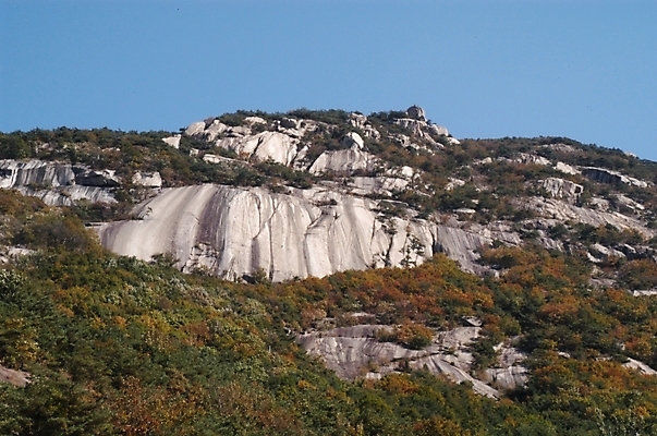 포토 JPG 주간 나무 백그라운드 하늘 바위산 산 풍경 사람없음 야외 북한산 국내포토 자연요소 식물 돌산 파일형식 고양