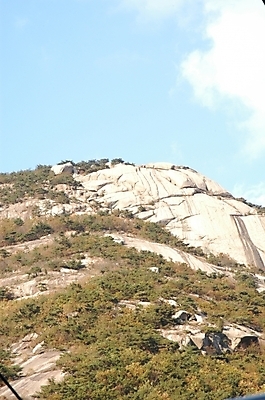 포토 JPG 주간 나무 백그라운드 바위산 산 풍경 사람없음 야외 돌_바위 바위 암벽 북한산 국내포토 자연요소 식물 돌산 파일형식 고양