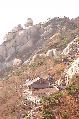 포토 JPG 주간 나무 식물 백그라운드 바위산 산 풍경 사람없음 야외 가을 숲 북한산 산사 국내포토 자연요소 계절 돌산 파일형식 고양