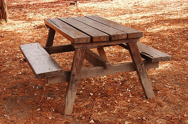 포토 JPG 주간 나무 식물 시설물 사계절 계절 공원 현대건축 건축 백그라운드 단풍 낙엽 벤치 자연 풍경 사람없음 야외 가을풍경 가을 숲 공터 남이섬 야외테이블 국내포토 자연요소 건축물 공공시설 섬 잎 의자 탁자 생태계 강원도 파일형식 가을_계절