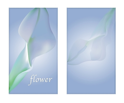 식물 템플릿 배너템플릿 꽃 컬러 여름꽃 자연 명함 명함템플릿 미니배너 카라 칼라꽃 이미지템플릿 배너 생태계 미니 여름_계절