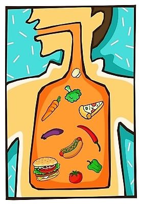 EPS 음식 토마토 일러스트 고추 가지 피망 피자 사람 당근 햄버거 소화기관 장기 브로콜리 양송이 핫도그 소화_음식물분해 국내일러스트 신체 채소 뿌리채소 패스트푸드 서양음식 버섯 장기_의학 파일형식 벡터