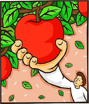 EPS 나무 식물 열매 남자 일러스트 건강 한명 사람 20대 성인 하이앵글 수확 사과 과수원 유기농 사과나무 남자만 남자한명만 성인남자만 청년만 청년남자만 청년남자한명만 성인한명만 성인남자한명만 성인만 국내일러스트 1 웰빙 뷰포인트 농업 과일 청년 파일형식 벡터