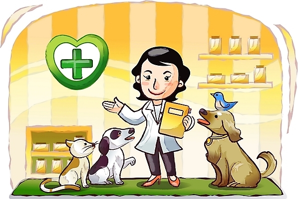 EPS 동물 직업 캐릭터 여자 일러스트 홍보캐릭터 조류 실내 직업캐릭터 병원 한명 사람 20대 성인 치료 반려동물 고양이 의사 강아지 전문직 동물병원 수의사 여자만 여자한명만 성인여자만 청년만 청년여자만 성인한명만 청년여자한명만 성인여자한명만 성인만 일러캐릭터 1 포유류 의학 청년 내부 의료진 개 파일형식 벡터