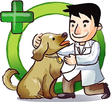 EPS 동물 직업 캐릭터 남자 일러스트 홍보캐릭터 직업캐릭터 한명 사람 20대 성인 치료 반려동물 개 강아지 전문직 동물병원 수의사 남자만 남자한명만 성인남자만 청년만 청년남자만 청년남자한명만 성인한명만 성인남자한명만 성인만 일러캐릭터 1 포유류 의학 병원 청년 의사 파일형식 벡터