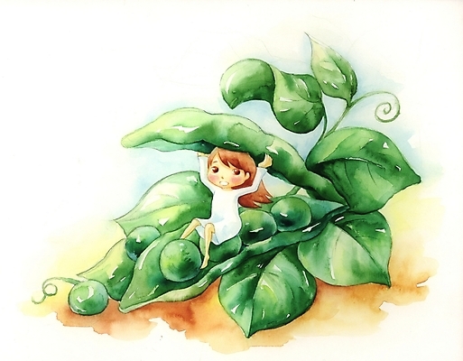 PSD 식물 여자 열매 초등학생 어린이 백그라운드 일러스트 상상 콩 한명 사람 소녀 야외 판타지 완두콩 여자만 여자한명만 어린이만 소녀만 소녀한명만 국내일러스트 1 학생 곡류 파일형식