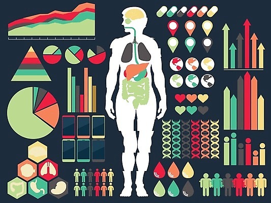 EPS 해외이미지 모양 백그라운드 컨셉 일러스트 벽지 추상 화살 아이디어 그림자 그래픽 장식 디지털 하트 도시 신장 레이아웃 간 기하학 엘리먼트 해외202004 해외일러스트 무늬 장기_의학 비뇨기관 파일형식 벡터