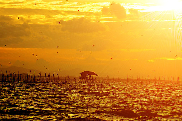 포토 JPG 해외이미지 바다 백그라운드 자연 하늘 풍경 사람없음 빨간색 빛 햇빛 태양 반사 노란색 일출 황혼 일몰 수평선 해외202004 해외포토 자연요소 컬러 노을 생태계 파일형식