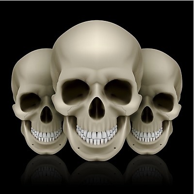 EPS 해외이미지 백그라운드 컨셉 일러스트 해부 불꽃 생물 아이디어 골격 3 반사 검은색 어둠 슬픔 운명 죽음 그룹 유령 위험 신비 무서움 악마 위협 심볼 공상 턱 살인 종료 나쁜 고딕 몬스터 재앙 지옥 해골모형 호러 해외202004 해외일러스트 감정 컬러 의학 불 모형 범죄 공포 파일형식 벡터