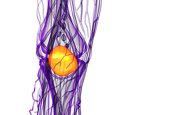 포토 JPG 해외이미지 해부 뼈 엑스레이 사람없음 고통 무릎 외과 양발 연골 증상 해외202004 해외포토 감정 의학 병원 신체부위 파일형식